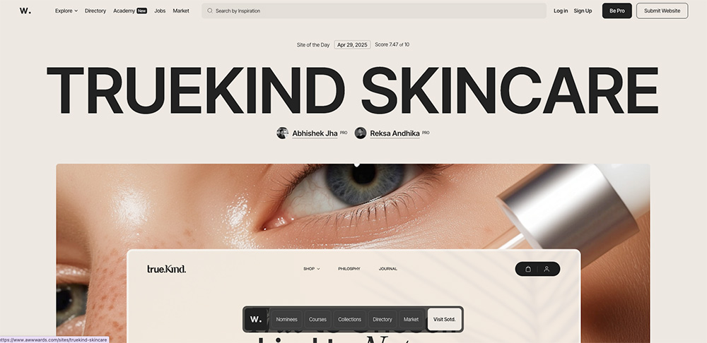 Screenshot of a website called awwwards that showcases great web designs