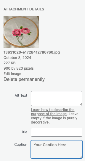 Media library caption