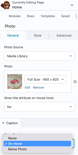 Show caption on hover